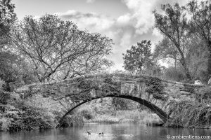 Gapstow Bridge and The Pond 2 (BW)