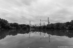 Reflection on The Lake at Central Park 6 (BW)