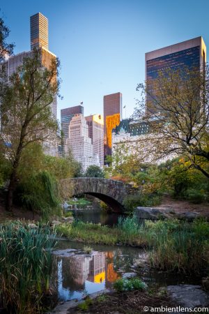 Gapstow Bridge and The Pond 1