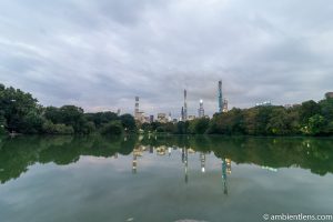 Reflection on The Lake at Central Park 6