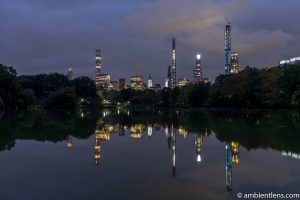 Reflection on The Lake at Central Park 5