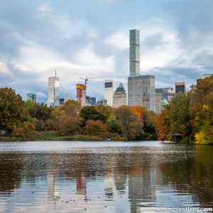 Reflection on The Lake at Central Park 1 (SQ)