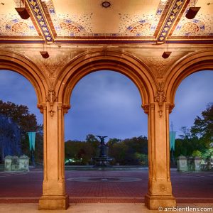 Looking Out Central Park's Bethesda Terrace (SQ)