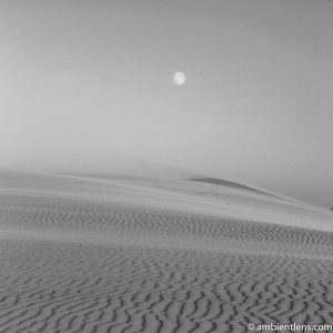 Moonrise Over the Oregon Dunes (BW SQ)