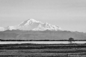 Mount Baker, Washington, USA 5 (BW)