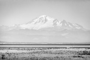 Mount Baker, Washington, USA (BW)