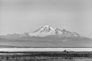 Mount Baker, Washington, USA 2 (BW)